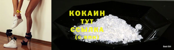 соль ск Арсеньев